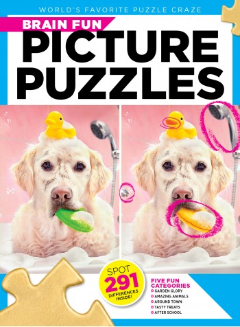 Brain Fun Picture Puzzles Magazine Subscription